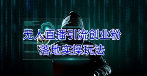 外面收费3980的无人直播引流创业粉落地实操玩法，单日引100+精准创业粉-风淘社