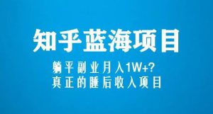 知乎蓝海玩法,躺平副业月入1W+,真正的睡后收入项目(6节视频课)-风淘社