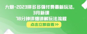 大炮·2023拼多多强付费最新玩法，3月新课​78分钟详细讲解玩法流程-风淘社