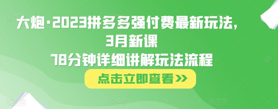 大炮·2023拼多多强付费最新玩法，3月新课​78分钟详细讲解玩法流程-风淘社