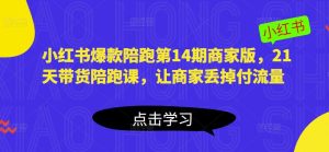 小红书爆款陪跑第14期商家版,21天带货陪跑课,让商家丢掉付流量-风淘社