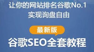 谷歌SEO实战教程:如何让你的网站在谷歌排名第一,内容从入门到高阶,适合个人及团队-风淘社