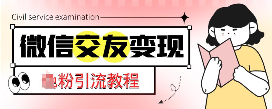 微信交友变现项目,吸引全网LSP男粉精准变现,小白也能轻松上手,日入500+-风淘社