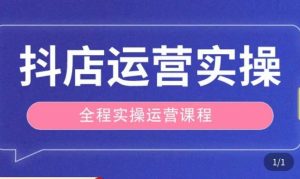 抖店运营全程实操教学课,实体店老板想转型直播带货,想从事直播带货运营,中控,主播行业的小白-风淘社