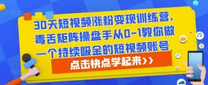 30天短视频涨粉变现训练营，毒舌矩阵操盘手从0-1教你做一个持续吸金的短视频账号-风淘社