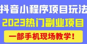 抖音小程序9.0新技巧,2023热门副业项目,动动手指轻松变现-风淘社