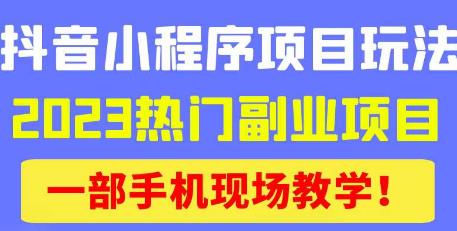 抖音小程序9.0新技巧,2023热门副业项目,动动手指轻松变现-风淘社