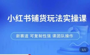 小红书铺货玩法实操课,流量大,竞争小,非常好做,新赛道,可复制性强,可团队操作-风淘社