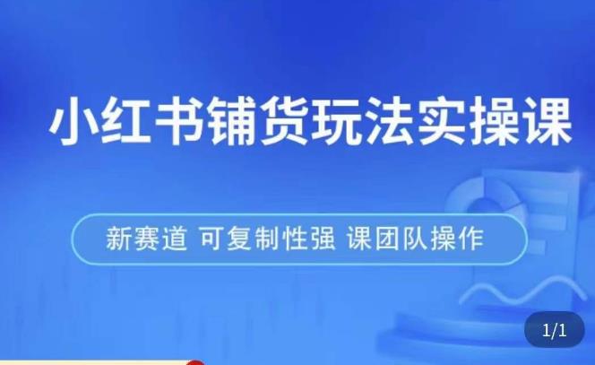 小红书铺货玩法实操课,流量大,竞争小,非常好做,新赛道,可复制性强,可团队操作-风淘社