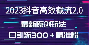 日引300＋创业粉，独家抖音高效截流2.0玩法（价值1280）-风淘社