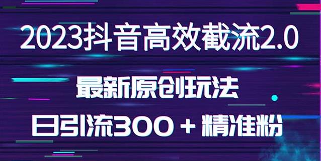 日引300+创业粉,独家抖音高效截流2.0玩法(价值1280)-风淘社