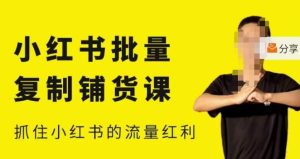 张宾·小红书批量复制铺货课,小红书0-1快速起号变现玩法,抓住小红书的流量红利(更新2023年3月)-风淘社