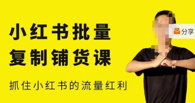 张宾·小红书批量复制铺货课,小红书0-1快速起号变现玩法,抓住小红书的流量红利(更新2023年3月)-风淘社