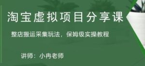 淘宝虚拟整店搬运采集玩法分享课:整店搬运采集玩法,保姆级实操教程-风淘社
