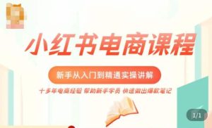 小红书电商新手入门到精通实操课，从入门到精通做爆款笔记，开店运营-风淘社