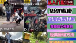 东方糖糖妹抖音短视频全套实战课思维+拍摄+剪辑+运营,从入门到精通-风淘社