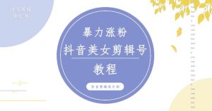 抖音快手暴力涨粉美女混剪视频教程，百分百过原创图片教程！附带违规申诉方法-风淘社