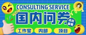 最新工作室内部国内问卷调查项目,单号轻松日入30+多号多撸【详细玩法教程】-风淘社