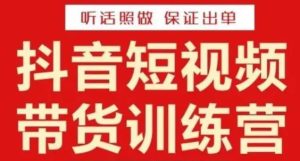 李鲆·抖音短视频带货训练营15期,一部手机、碎片化时间也能做,随时随地都能赚钱-风淘社