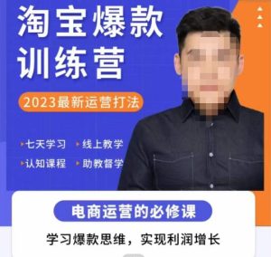 爱上黄昏·淘宝爆款训练营，2023最新运营打法，学习爆款思维，实现利润增长-风淘社