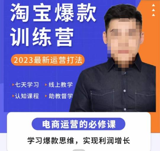 爱上黄昏·淘宝爆款训练营,2023最新运营打法,学习爆款思维,实现利润增长-风淘社