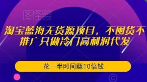 淘宝蓝海无货源项目,不囤货不推广只做冷门高利润代发,花一半时间赚10倍钱-风淘社