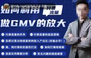 如何利用付费流量GMV的放大,微付费、纯付费的实操型打法-风淘社