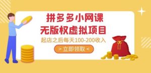 黄岛主·拼多多小网课无版权虚拟项目分享课：起店之后每天100-200收入-风淘社