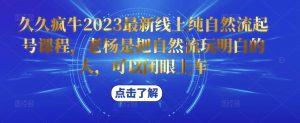 久久疯牛2023最新线上纯自然流起号课程，老杨是把自然流玩明白的人，可以闭眼上车-风淘社