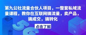 第九公社流量合伙人项目，一整套私域流量课程，教你在互联网搞流量，卖产品，搞成交，搞转化-风淘社