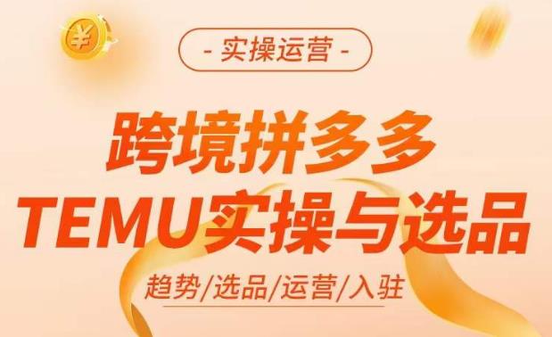 跨境拼多多TEMU实操与选品,掌握平台运营方法技巧,选品避坑12条标准,爆款的底层思路等-风淘社