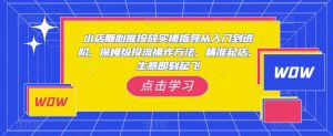 小店随心推投放实操指导从入门到进阶，保姆级投流操作方法，精准起店，生意即刻起飞-风淘社