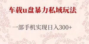 车载u盘暴力私域玩法,长期项目,仅需一部手机实现日入300+-风淘社