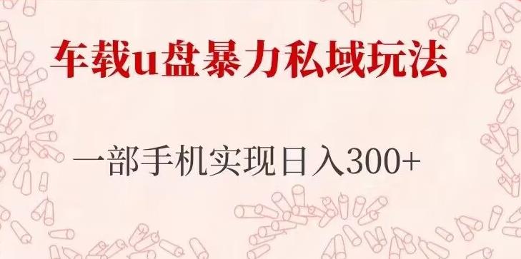 车载u盘暴力私域玩法,长期项目,仅需一部手机实现日入300+-风淘社