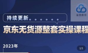 蓝七·2023京东店群整套实操视频教程,京东无货源整套操作流程大总结,减少信息差,有效做店发展-风淘社