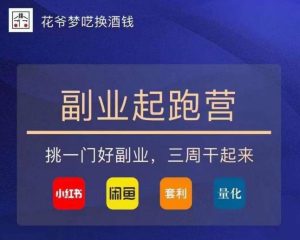 花爷-副业起跑营第2期,挑一门好副业,三周干起来(闲鱼|小红书|量化|套利)-风淘社