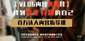 vlog内容进阶营,找到真正有趣的自己,百万达人内容指导课-风淘社
