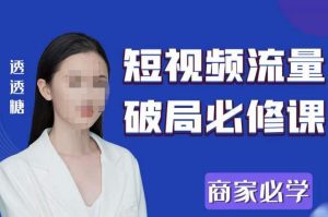 2023最新透糖短视频流量破局必修课——商家必学-风淘社