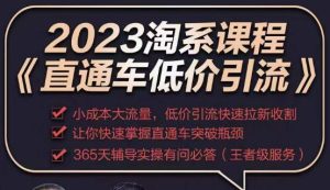 2023直通车低价引流玩法课程，小成本大流量，低价引流快速拉新收割，让你快速掌握直通车突破瓶颈-风淘社