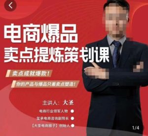 大圣·电商标品爆款卖点策划课，标品卖点成就爆款，可落地卖点提炼课-风淘社