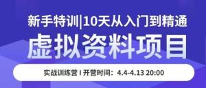 虚拟资料项目新手特训，10天从入门到精通，保姆级实操教学-风淘社
