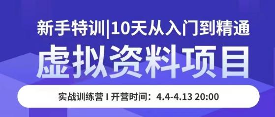 虚拟资料项目新手特训,10天从入门到精通,保姆级实操教学-风淘社