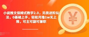 小说推文保姆式教学2.0，另类进阶玩法，0基础上手，轻松月撸1w无上限，可主可副可兼职-风淘社