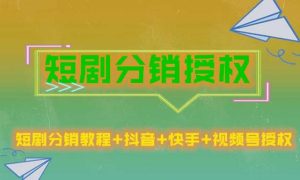 短剧分销授权，收益稳定，门槛低（视频号，抖音，快手）-风淘社