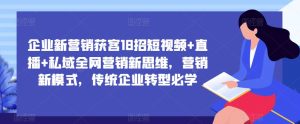 企业新营销获客18招短视频+直播+私域全网营销新思维,营销新模式,传统企业转型必学-风淘社