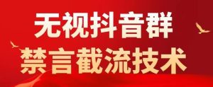 外面卖1500抖音粉丝群无视禁言截流技术，抖音黑科技，直接引流，0封号-风淘社