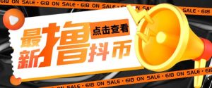 外面收费598的最新pdd无限白嫖抖币项目揭秘，简单暴利【仅揭秘】-风淘社