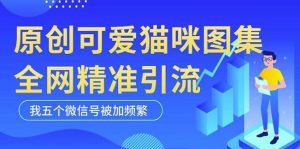 黑科技纯原创可爱猫咪图片，全网精准引流，实操5个VX号被加频繁-风淘社