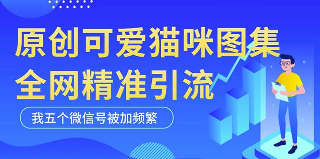 黑科技纯原创可爱猫咪图片,全网精准引流,实操5个VX号被加频繁-风淘社