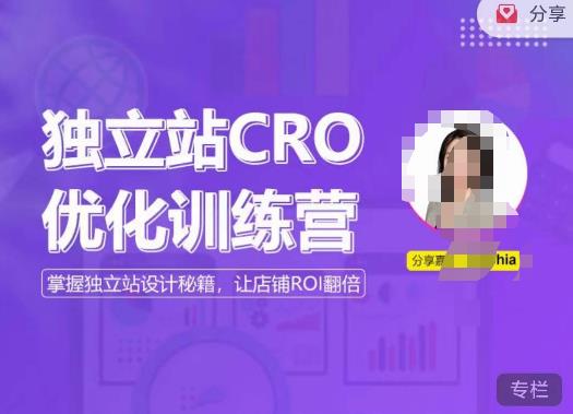 独立站CRO优化训练营,掌握独立站设计秘籍,打造高转化的独立站,让店铺ROI翻倍-风淘社